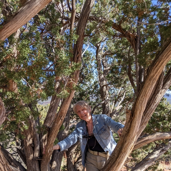 Meet your Posher, MF zebra - Picture 2 of 2